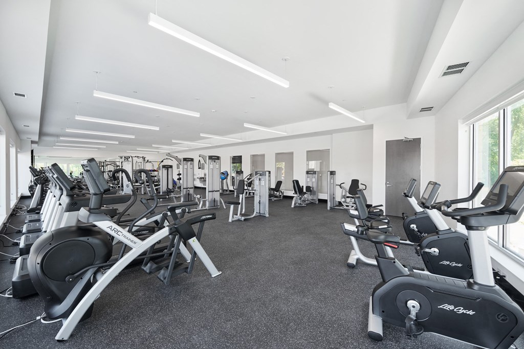the state of the art gym is equipped with treadmills and ellipticals