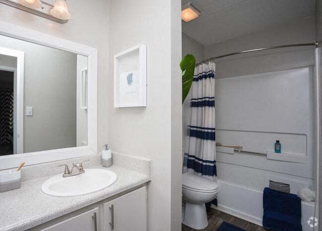 a bathroom with a sink and a toilet and a mirror