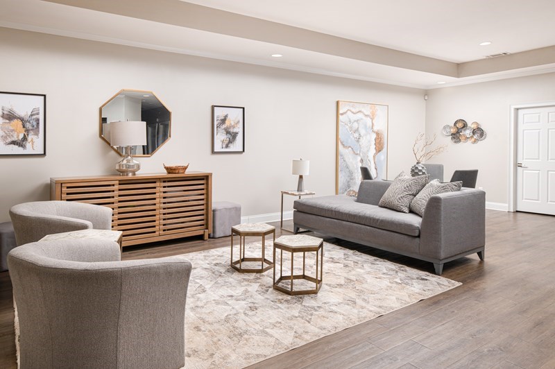 A living room with a grey couch, a wooden sideboard, and a rug.