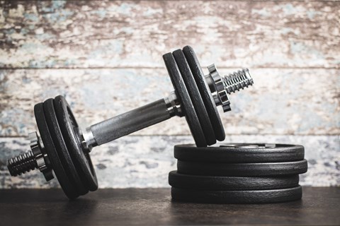 A pair of black dumbbells resting on a stack of black weight plates.