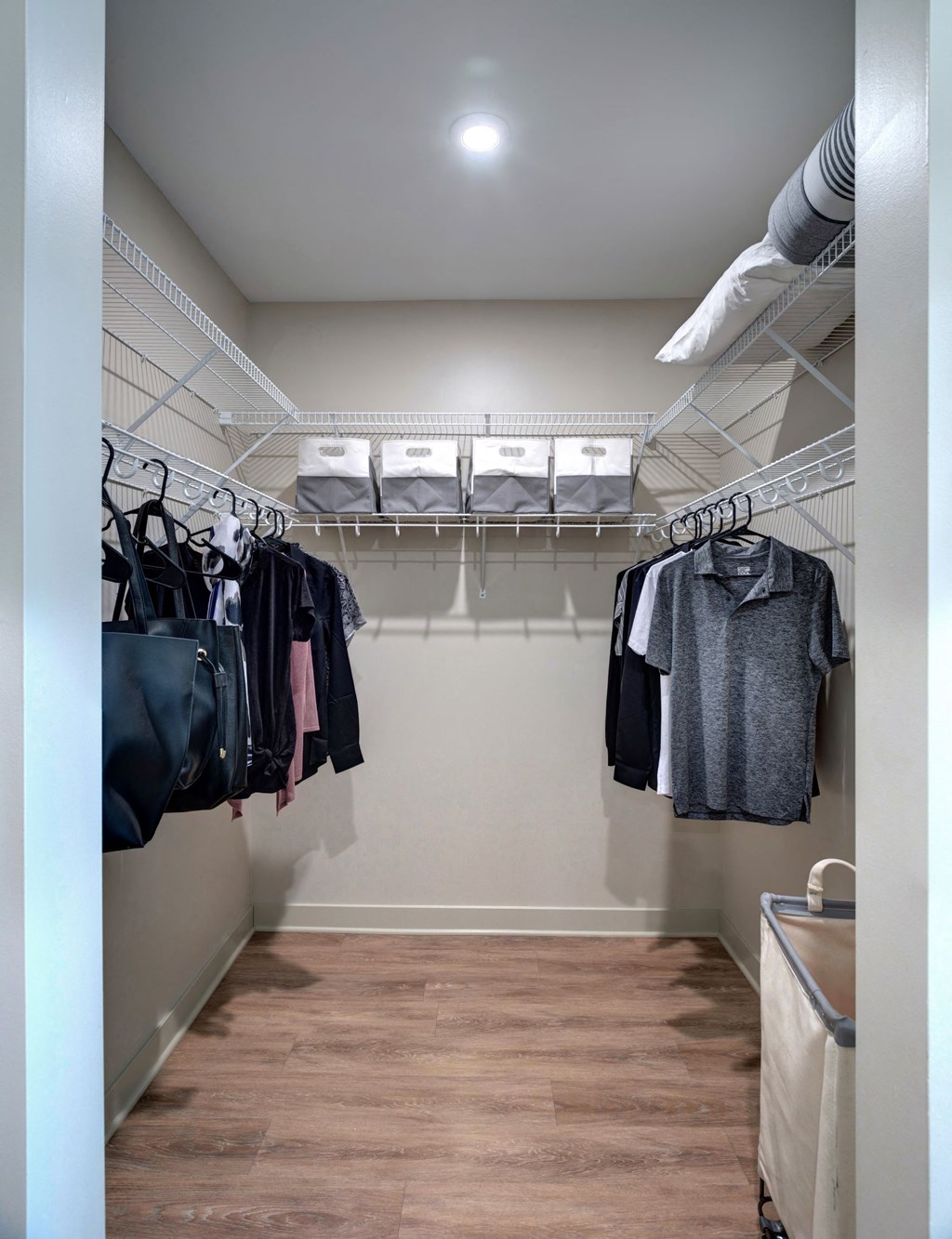 Luxury Apartments in Downtown Kalamazoo, MI - 400 Rose