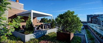 Luxury Apartments in Downtown Kalamazoo, MI - 400 Rose