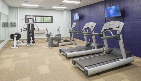 A gym with treadmills, elliptical machines, and other exercise equipment.