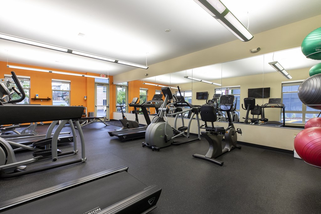 a gym with cardio equipment and weights on the floor