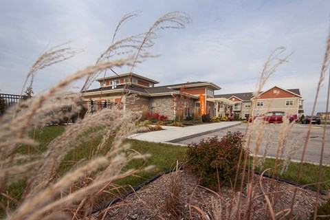 a row of houses with tall grass in front of them