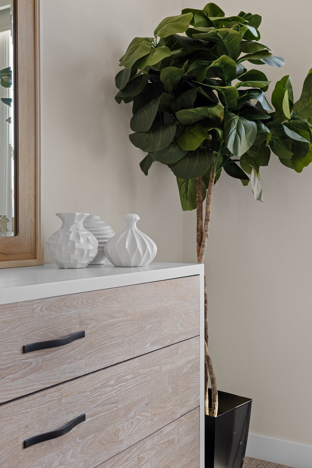 a dresser with a plant on it next to a mirror at Tivoli Green Apartments & Townhomes, Mount Pleasant, WI