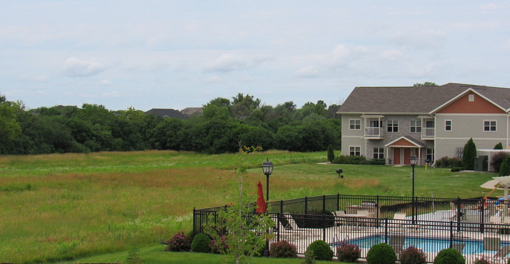 a backyard with a pool and a house