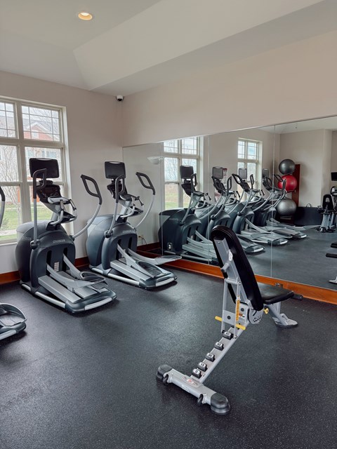 A gym with treadmills, exercise bikes, and weights.