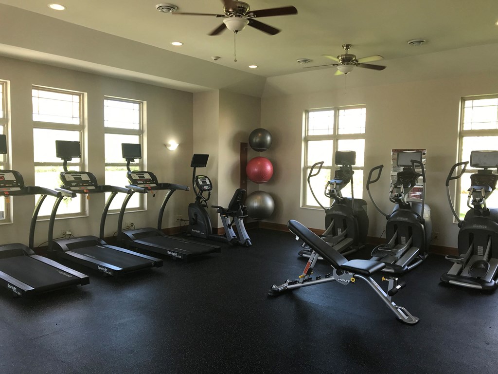 the gym has plenty of cardio equipment and windows