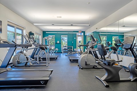 A gym with treadmills and exercise bikes.
