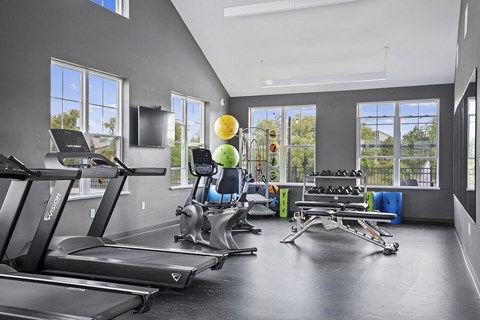 the gym is equipped with treadmills and other exercise equipment