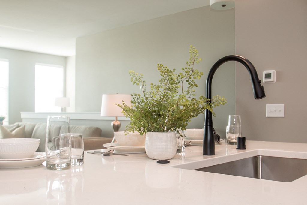 Sink With Faucet at Tivoli Green Apartments & Townhomes, Mount Pleasant