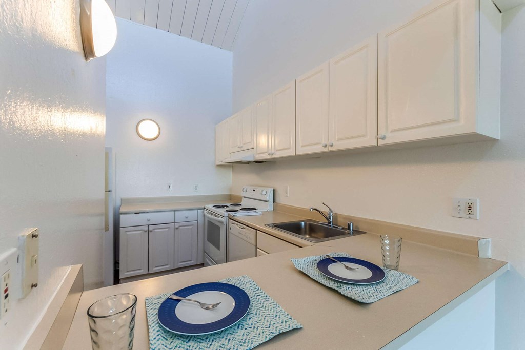 kitchen with stove, sink, and counters