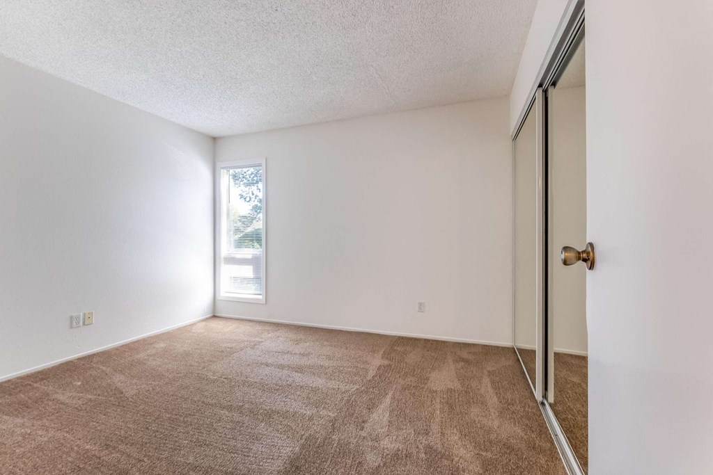 bedroom with window and mirrored closet doors