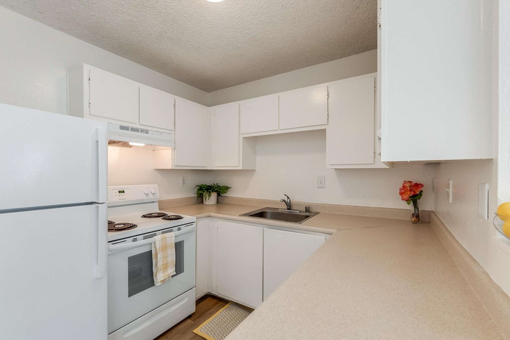 kitchen with counters, sink, stove, and fridge