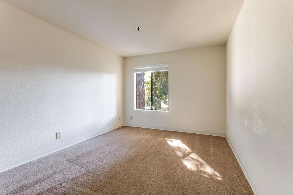 bedroom with window