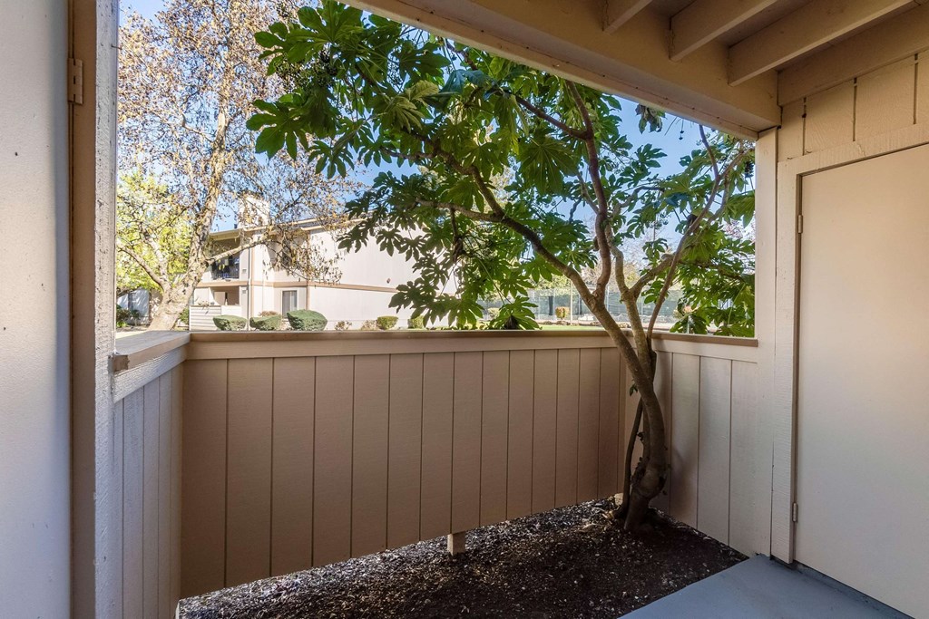balcony and tree