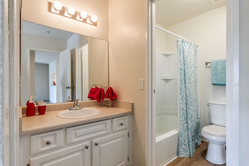 bathroom with vanity, toilet, and shower