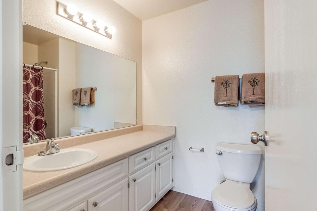 bathroom with toilet and vanity