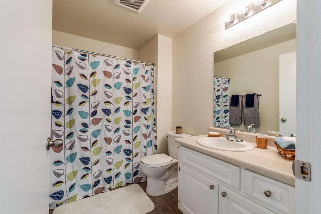 bathroom with shower curtain, toilet, and vanity