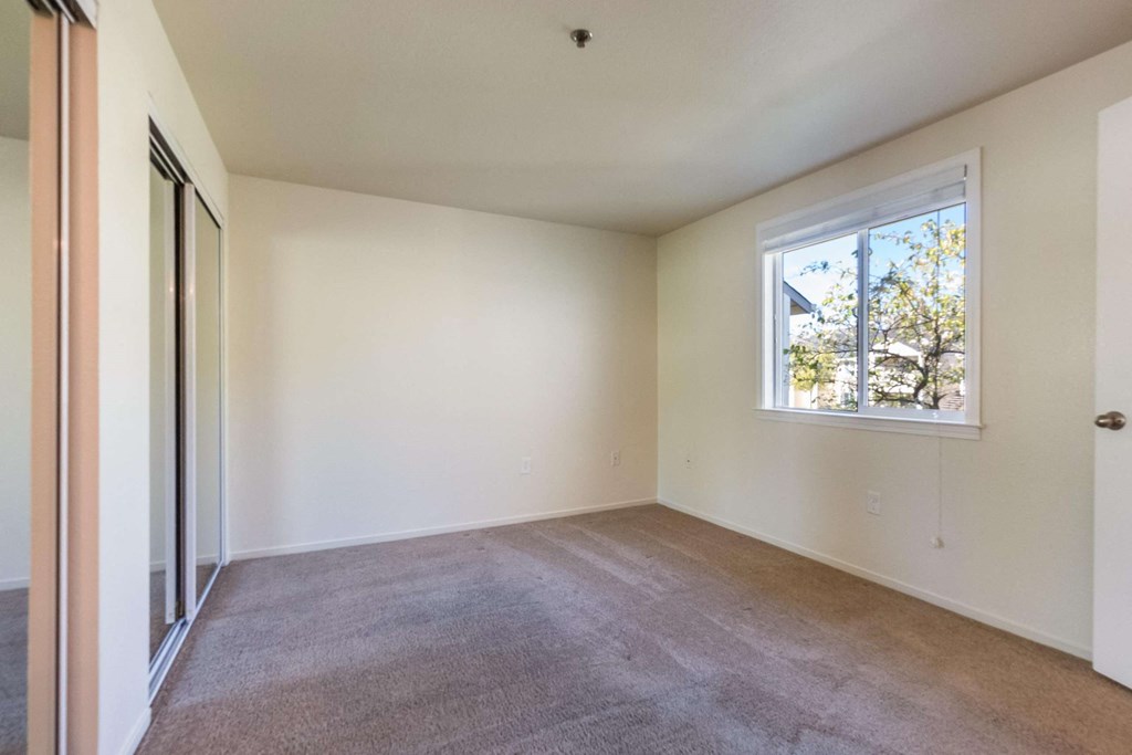 bedroom with mirrored closet doors