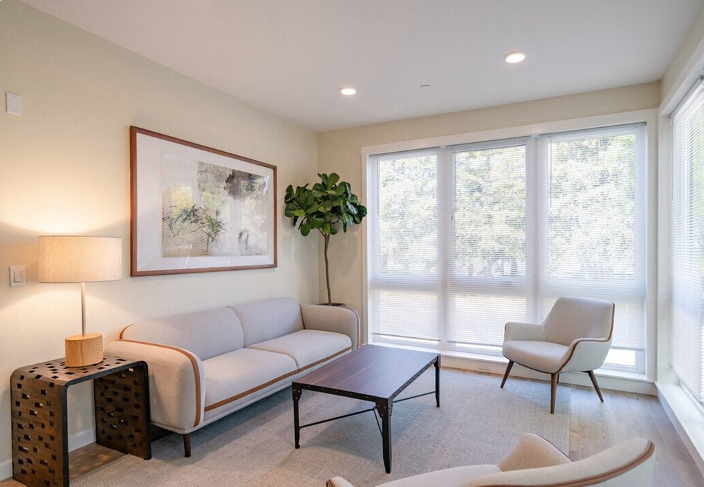 1 bedroom living room area