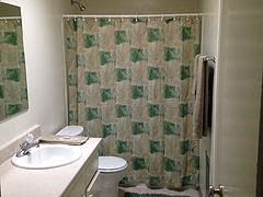 bathroom with sink, toilet, and shower curtain