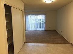 a living room with a rug and a closet