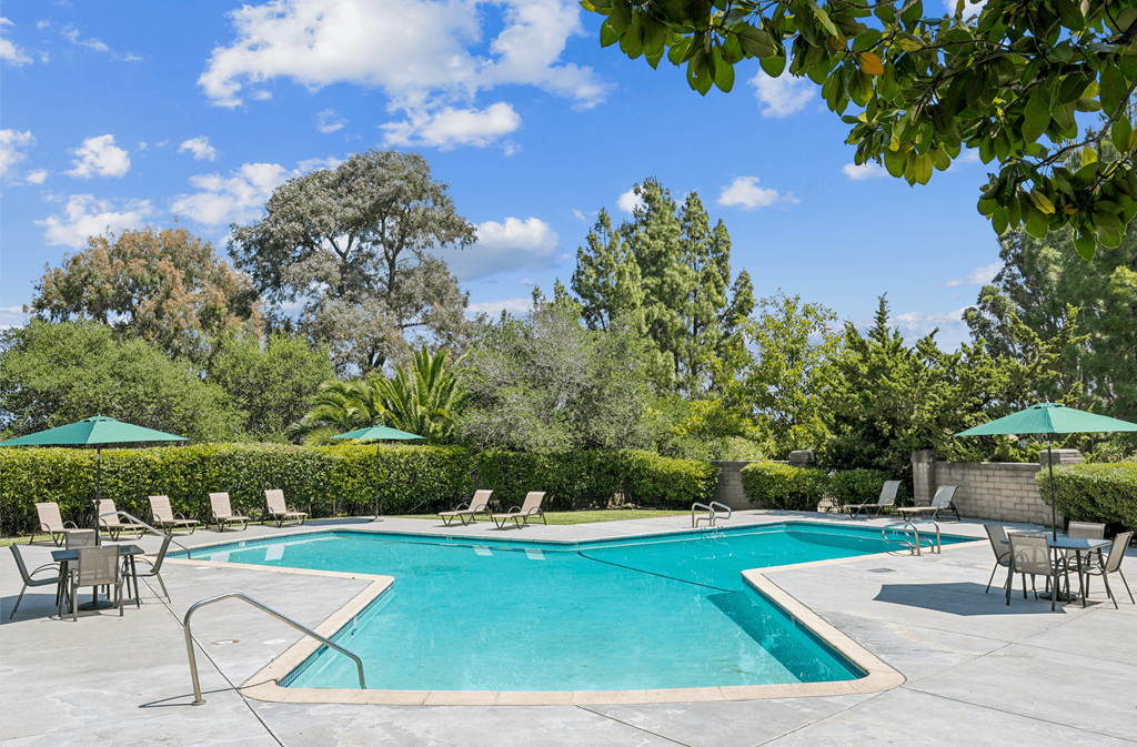 A swimming pool surrounded by trees and chairs.at Posada West, Novato, CA 94949