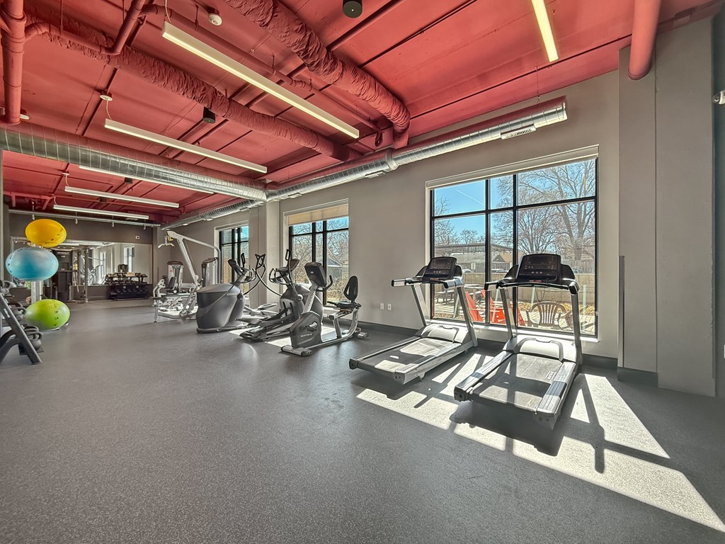 A gym with treadmills, exercise balls, and weights.