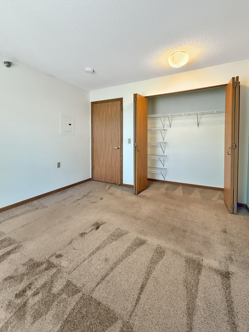 A room with a carpet and a closet with a sliding door.