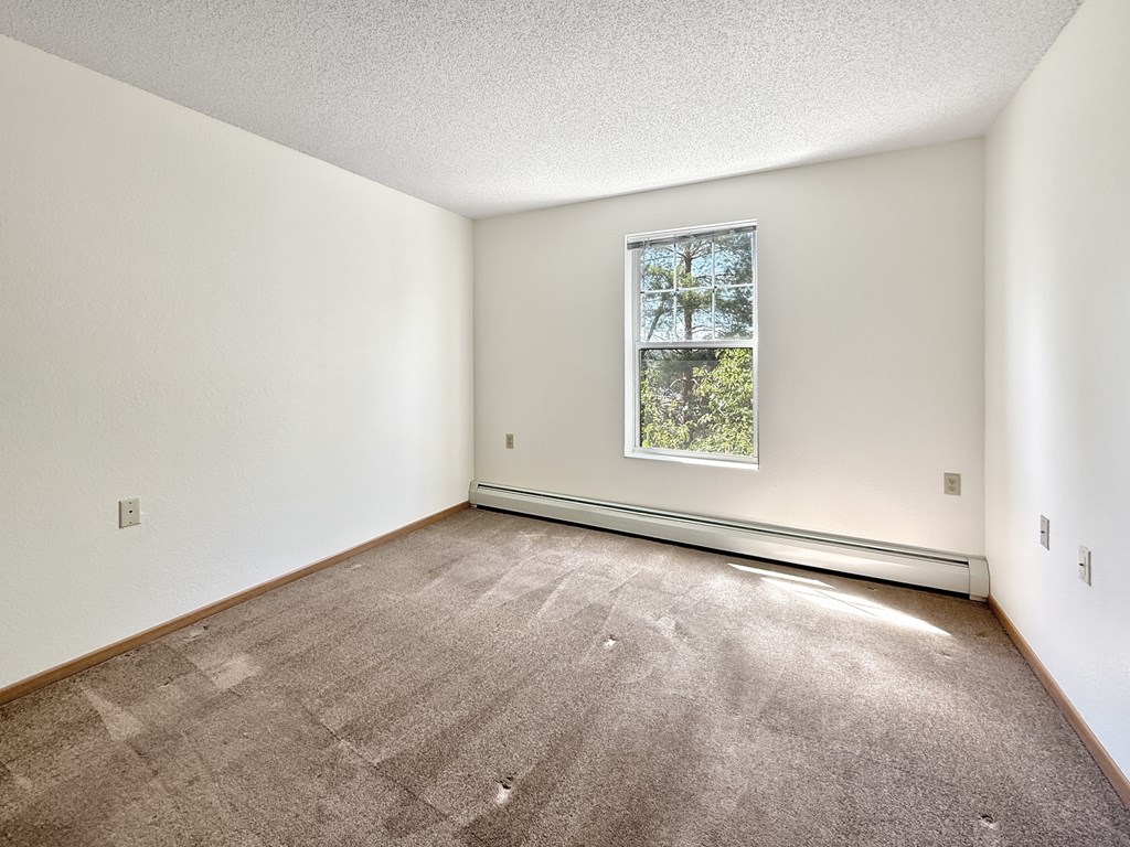 A room with a carpeted floor and a window showing trees outside.