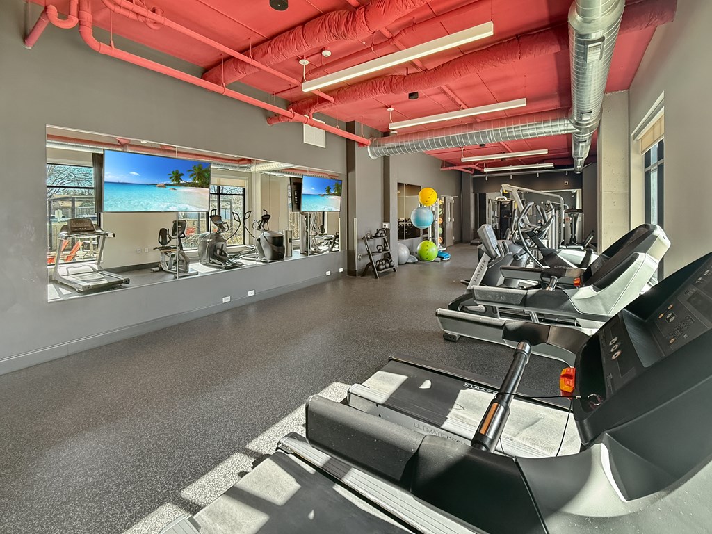 A gym with treadmills, exercise bikes, and other equipment.