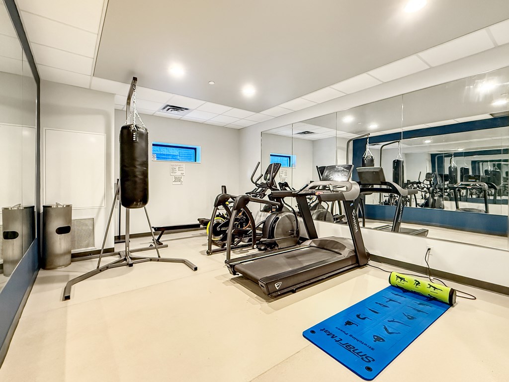 A gym with a punching bag, treadmill, and exercise bikes.