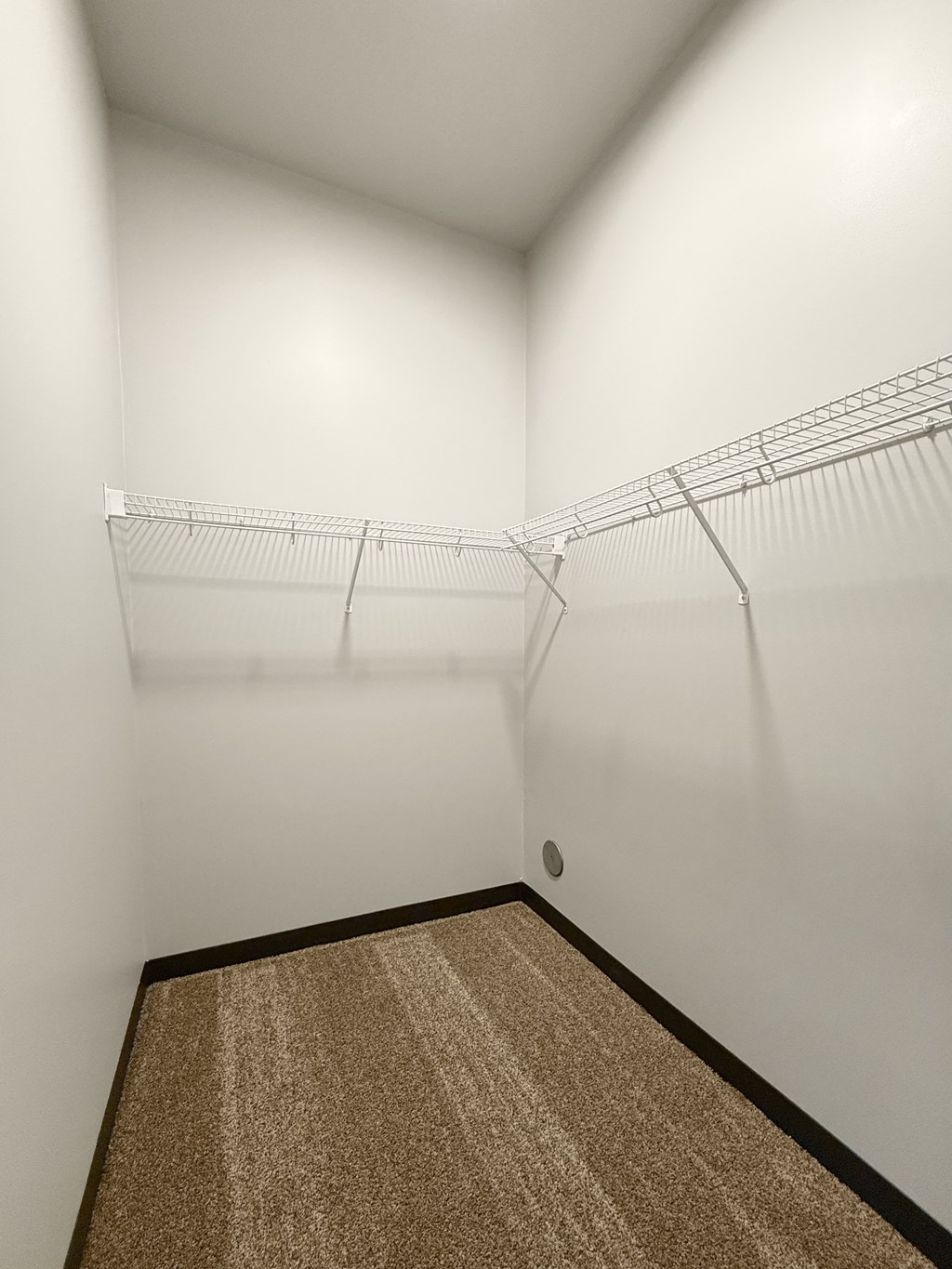 a walk in closet with wire racking on the walls and carpet on the floor