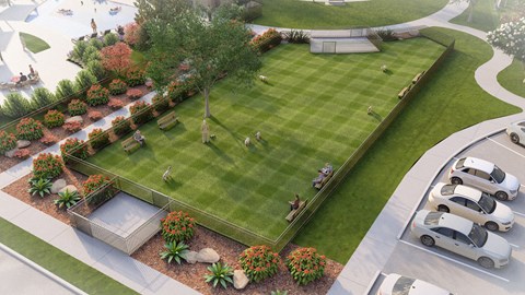 A park with a green lawn and a tree with red flowers.