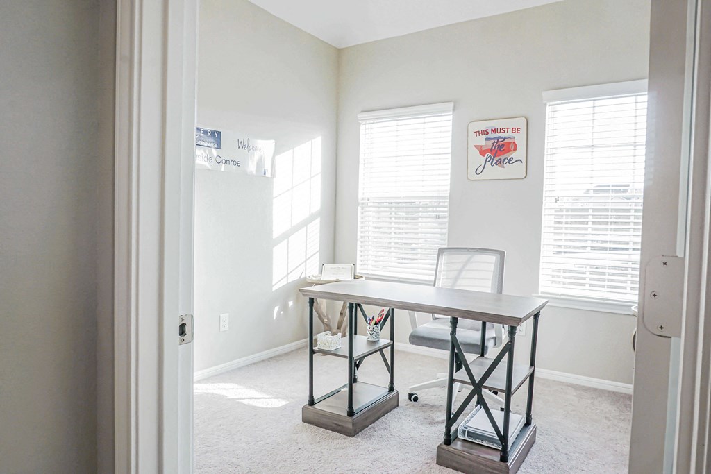 Work Space at Lakeside Conroe, Texas, 77356