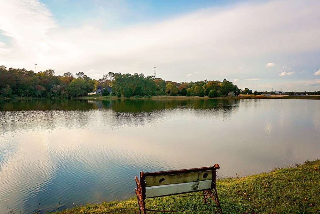Lake With Lush Natural Surrounding at Lakeside Conroe, Montgomery, Texas