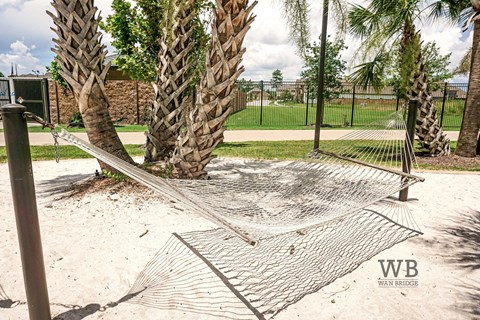 A playground with a net and palm trees.