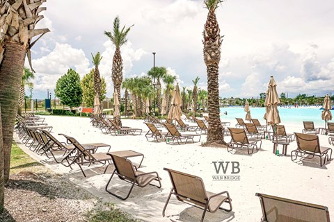 A row of chairs and umbrellas are set up on a beach.
