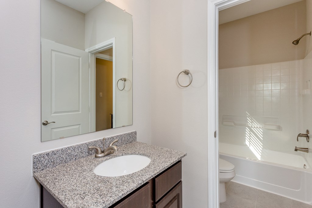 a bathroom with a sink and a mirror and a toilet