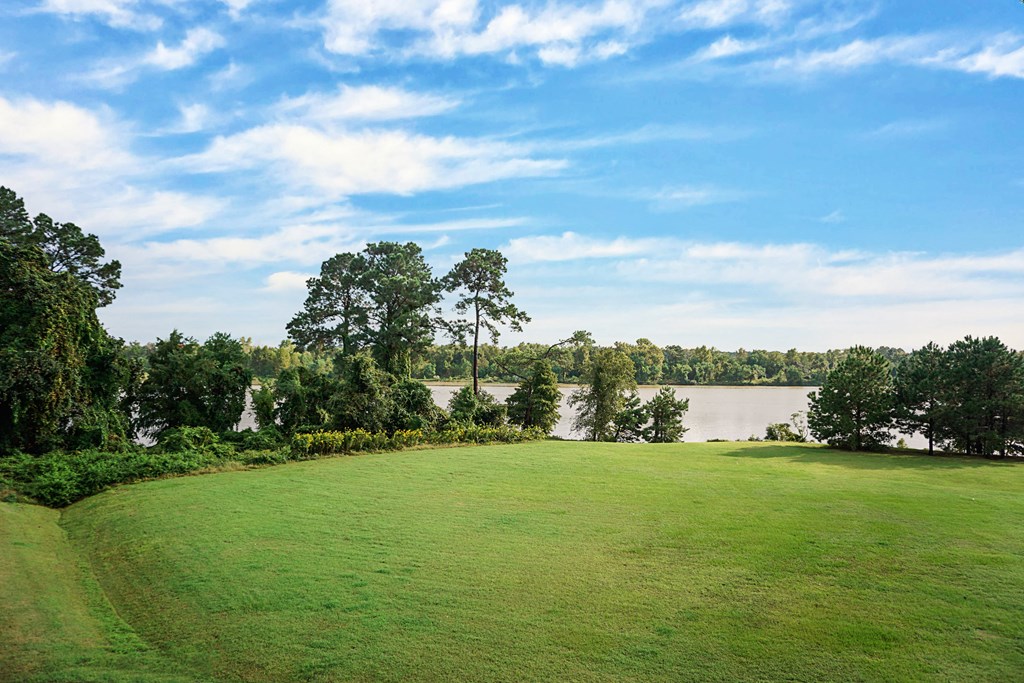 a green field with a lake in the background