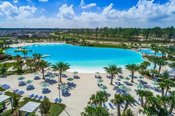 A large swimming pool surrounded by palm trees and beach chairs.