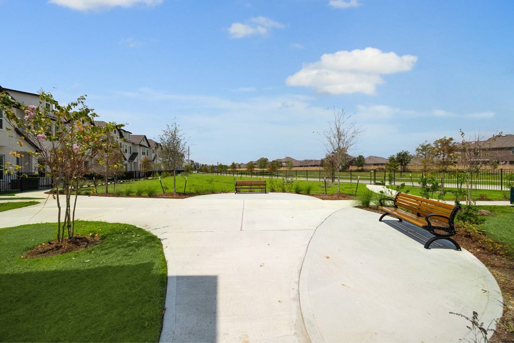 A park with a bench and a tree.