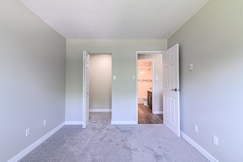 a bedroom with gray walls and carpet
