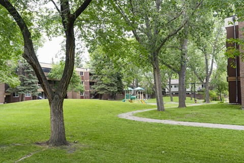 A tree in a grassy area with a building in the background.
