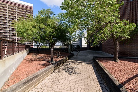 terrace