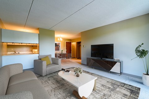 a living room with a couch and a coffee table and a tv