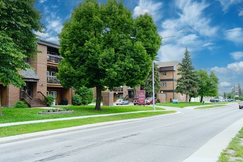 A tree in front of a building with a street in front of it.