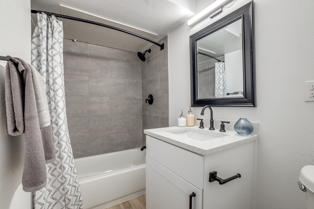 a bathroom with a sink and a shower and a mirror